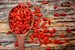 goji-berry-prospech.jpg