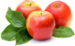 headerapple1.png