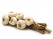 MOT26ed4c_shutterstock_19439980.jpg